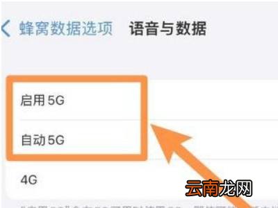 苹果13怎么设置5g网络