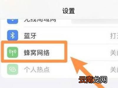 苹果13怎么设置5g网络