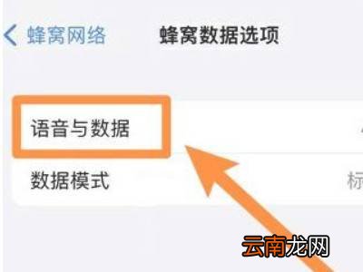 苹果13怎么设置5g网络