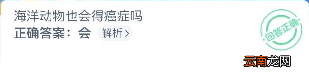 蚂蚁森林神奇海洋10月24日最新答案：海洋动物也会得癌症吗？
