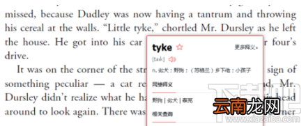 有道词典怎么脱网查询？