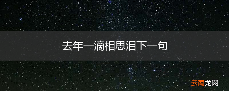 去年一滴相思泪下一句