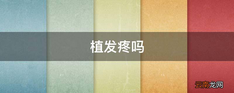 植发疼吗