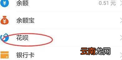 支付宝境外花呗怎么开通