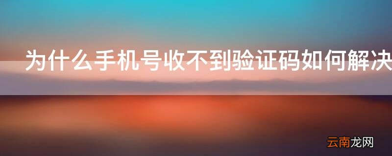 为什么手机号收不到验证码如何解决