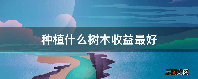 种植什么树木收益最好
