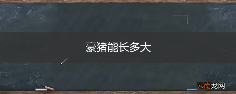 豪猪能长多大