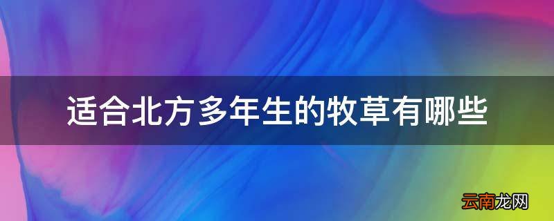 适合北方多年生的牧草有哪些