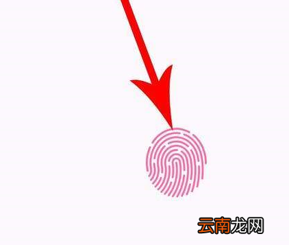 爱情银行app中签到具体步骤介绍