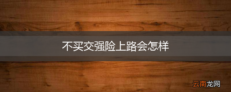 不买交强险上路会怎样