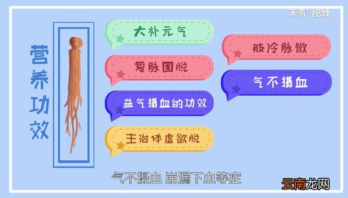 红参的功效与作用 红参的功效与作用是什么