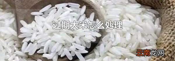 过期大米怎么处理