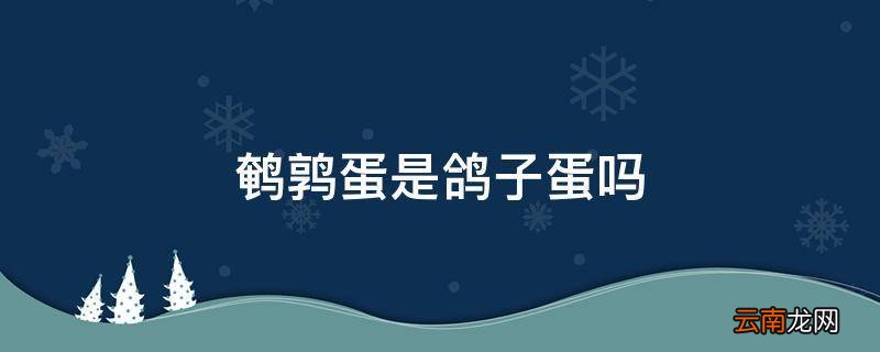 鹌鹑蛋是鸽子蛋吗