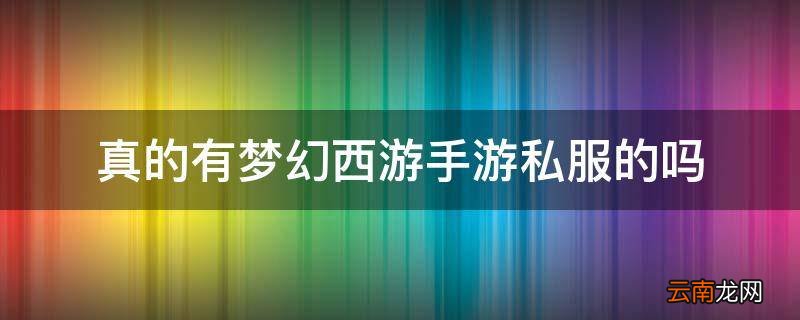 真的有梦幻西游手游私服的吗