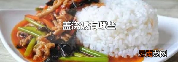 盖浇饭有哪些