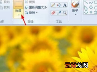电脑怎么裁剪图片大小