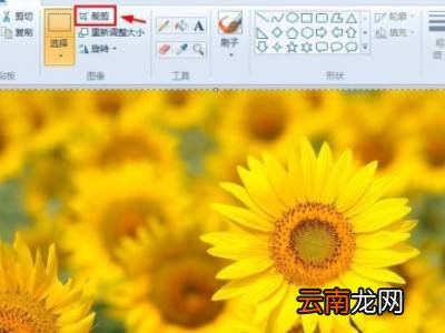 电脑怎么裁剪图片大小