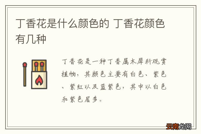 丁香花是什么颜色的 丁香花颜色有几种