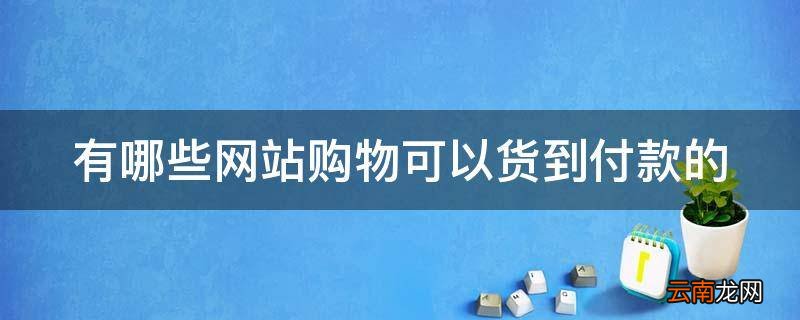 有哪些网站购物可以货到付款的
