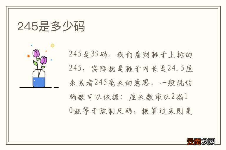 245是多少码