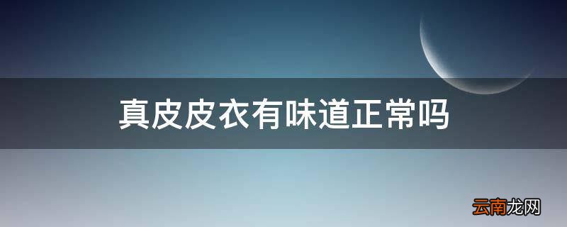 真皮皮衣有味道正常吗