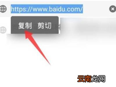 复制链接并打开微信