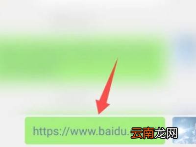 复制链接并打开微信