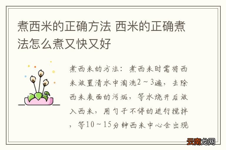 煮西米的正确方法 西米的正确煮法怎么煮又快又好