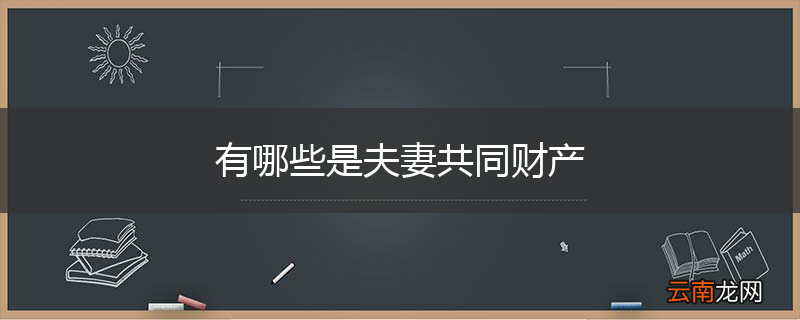 有哪些是夫妻共同财产