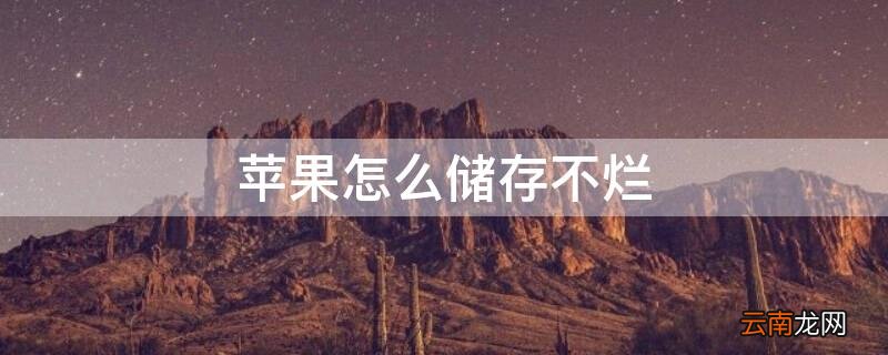 苹果咋样储存不烂 iPhone怎么储存不烂