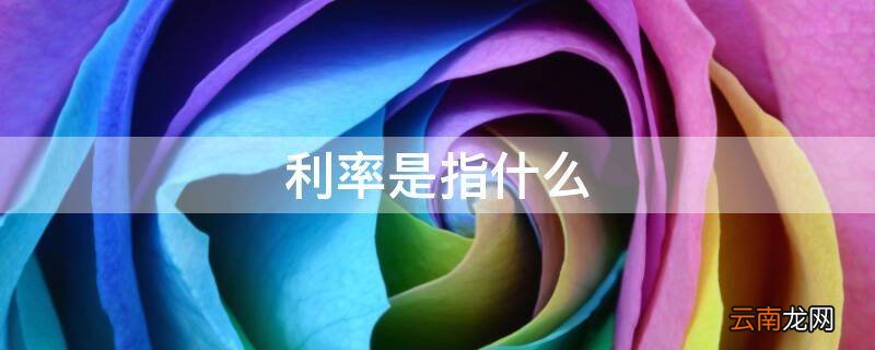 利率是指什么