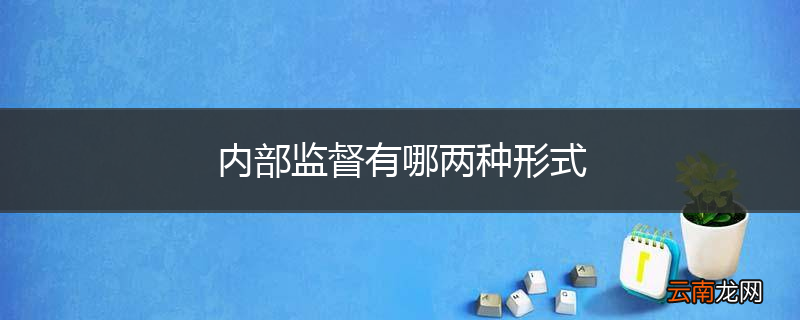 内部监督有哪两种形式