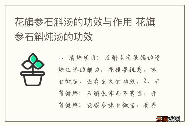 花旗参石斛汤的功效与作用 花旗参石斛炖汤的功效