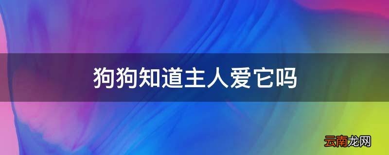 狗狗知道主人爱它吗