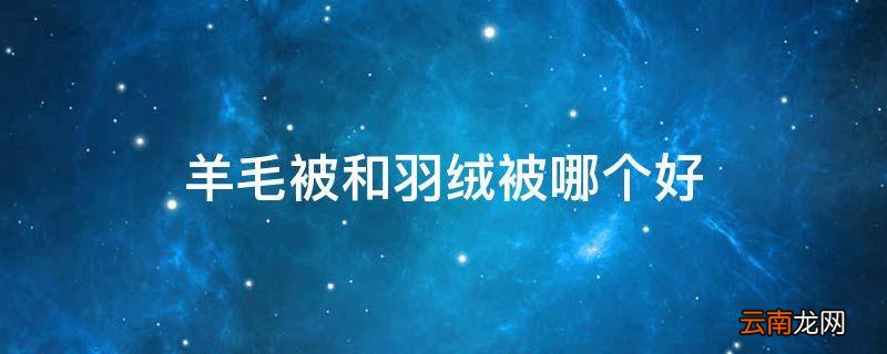 羊毛被和羽绒被哪个好