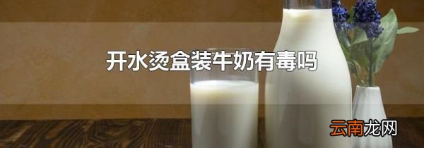 开水烫盒装牛奶有毒吗