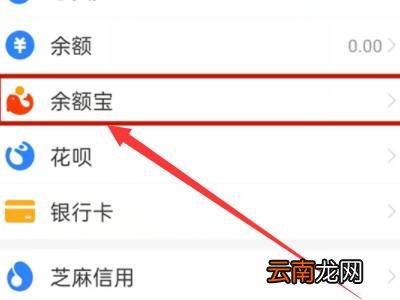 支付宝钱管家怎么退钱