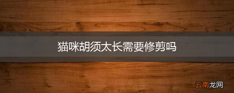 猫咪胡须太长需要修剪吗