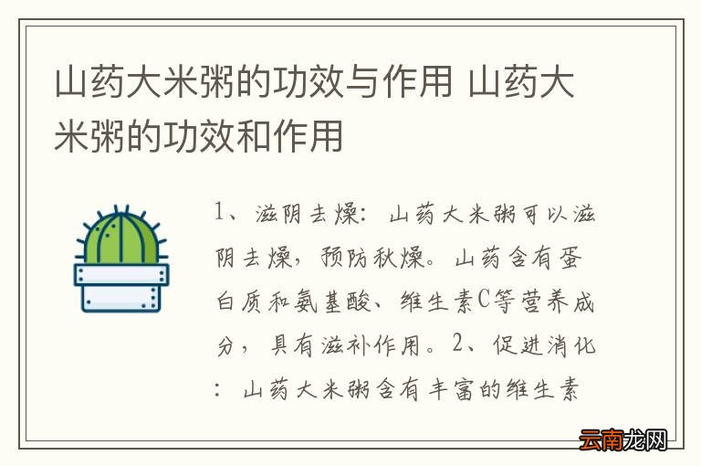 山药大米粥的功效与作用 山药大米粥的功效和作用
