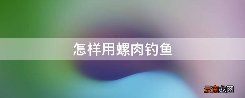 怎样用螺肉钓鱼