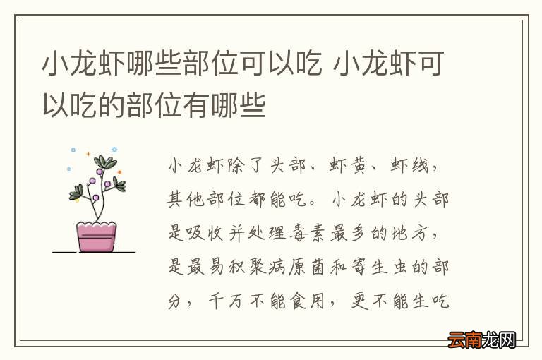 小龙虾哪些部位可以吃 小龙虾可以吃的部位有哪些