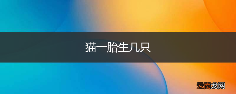 猫一胎生几只