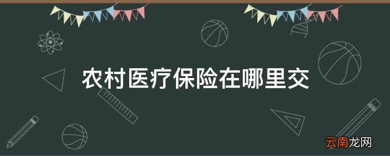 农村医疗保险在哪里交