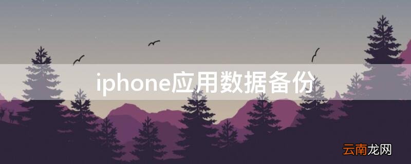 苹果手机应用数据备份 iPhone应用数据备份