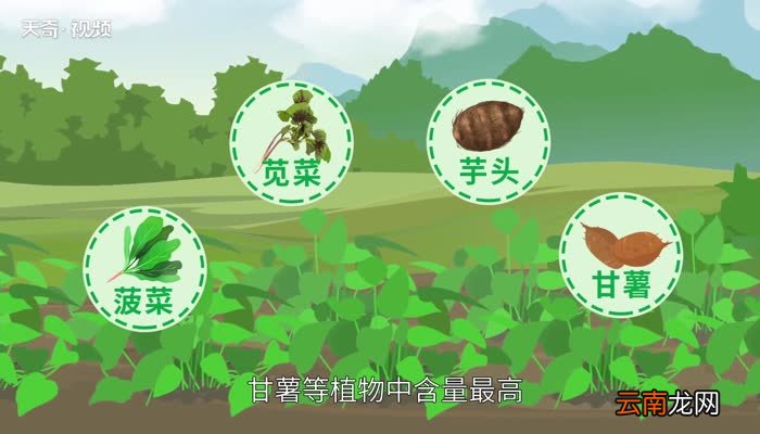 草酸的作用 草酸的用途有哪些