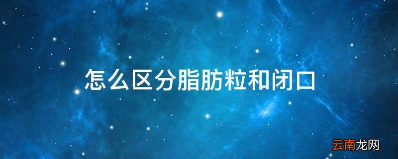 怎么区分脂肪粒和闭口