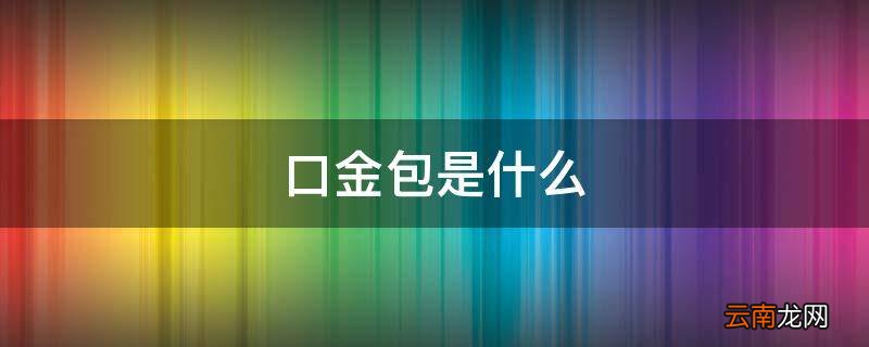 口金包是什么