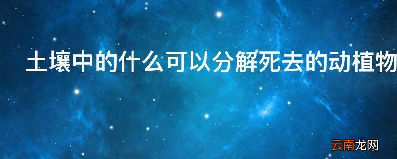 土壤中的什么可以分解死去的动植物