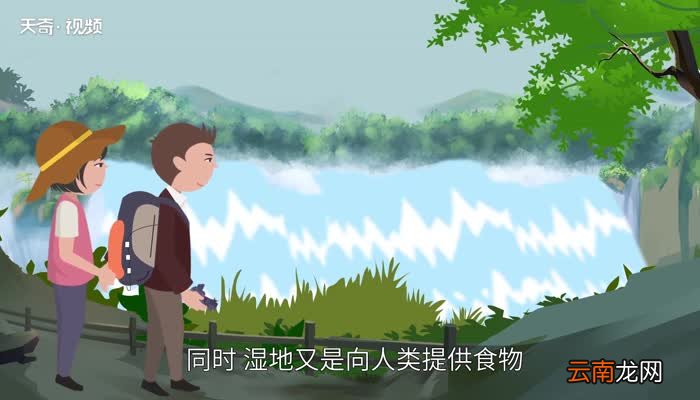 湿地的作用 湿地都有哪些作用
