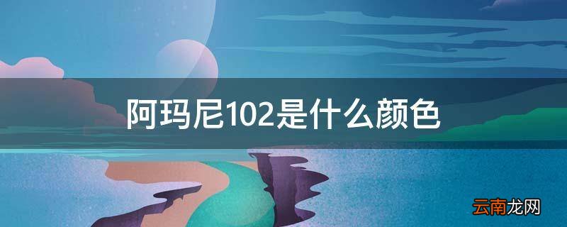 阿玛尼102是什么颜色